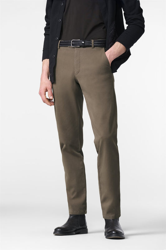 Bonn Camel