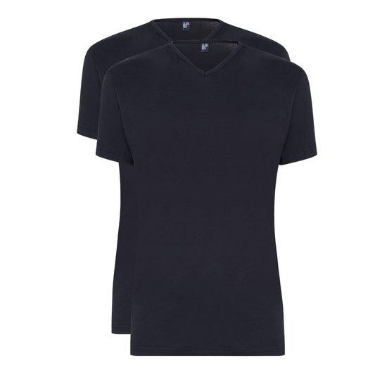 T-Shirt Vermont 2-pack v-hals